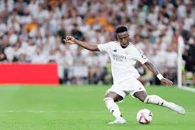 專家的認可 專家的認可